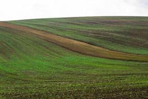 paysage d'automne dans un champ morave photo