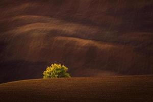 paysage d'automne dans un champ morave photo