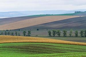 paysage d'automne dans un champ morave photo