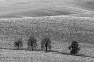 paysage d'automne dans un champ morave photo