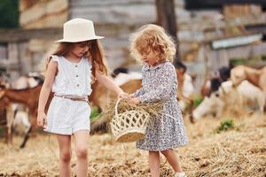 deux petites filles ensemble à la ferme en été ayant un week-end avec des chèvres photo