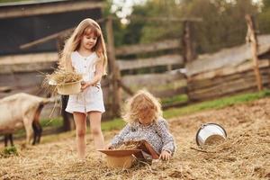 deux petites filles ensemble à la ferme en été ayant un week-end avec des chèvres photo