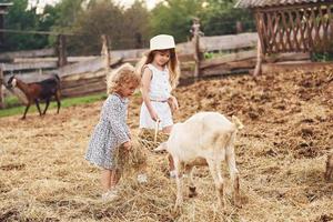 deux petites filles ensemble à la ferme en été ayant un week-end avec des chèvres photo