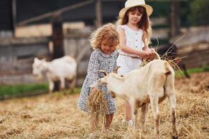 deux petites filles ensemble à la ferme en été ayant un week-end avec des chèvres photo