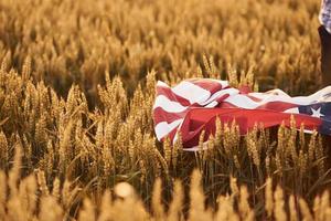 vue particulaire du drapeau américain allongé sur la récolte. sur le terrain agricole. conception de la liberté