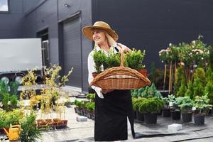 panier en bois dans les mains. une femme âgée est dans le jardin pendant la journée. conception des plantes et des saisons photo