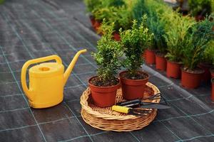 arrosoir jaune. plantes en pots et outils de travail au sol. conception de jardinage photo