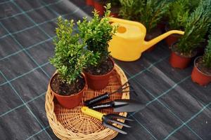 arrosoir jaune. plantes en pots et outils de travail au sol. conception de jardinage photo