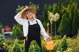 arrosant les plantes. femme âgée est dans le jardin pendant la journée photo