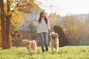 brune se promène avec deux chiens golden retriever dans le parc pendant la journée photo