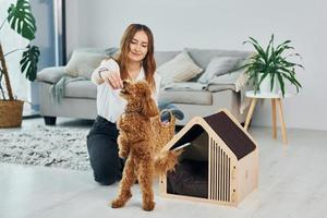 propriétaire féminine jouant avec son animal de compagnie. mignon petit chiot caniche est à l'intérieur dans la chambre domestique moderne photo