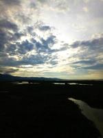 plantes sauvages qui poussent sur les rives de la rivière photo