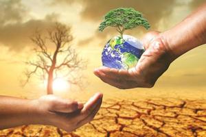 planter des arbres pour résoudre les problèmes de sécheresse photo