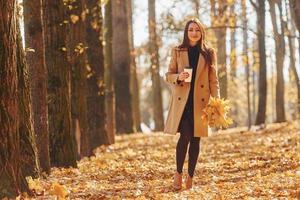 tenant des feuilles dans les mains. femme en manteau se promener dans la forêt d'automne photo