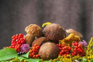 automne nature morte de champignons photo