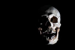 Tête de crâne de squelette humain isolée sur fond noir photo
