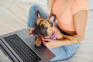 à l'aide d'un ordinateur portable. femme avec chien carlin est à la maison pendant la journée photo