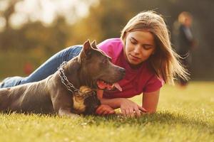 allongé sur le sol. femme en vêtements décontractés est avec pit-bull à l'extérieur photo