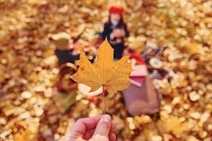 petit garçon avec sa soeur est assis sur le sol dans le parc d'automne photo