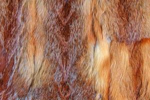 fourrure de renard se bouchent. fond de fourrure animale rousse, texture de pile de fourrure. photo