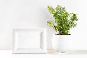 image minimale de noël avec petit arbre de noël en pot de fleurs et cadre blanc sur blanc. espace de copie. photo