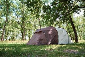 tente campimg dans une forêt de pins en été. camp touristique photo