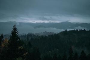 forêt de conifères et paysage de montagnes voyage paysage serein photo