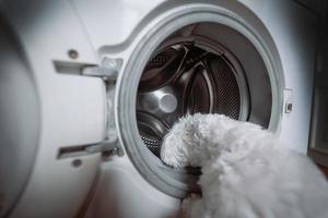 mignon petit chien blanc regardant dans la machine à laver. photo