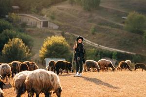 Berger femelle et troupeau de moutons sur une pelouse photo