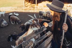 une belle jeune femme près d'un enclos avec des chèvres photo