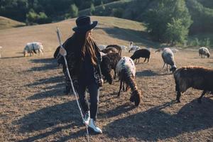 Berger femelle et troupeau de moutons sur une pelouse photo