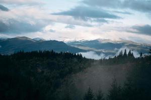 forêt de conifères et paysage de montagnes voyage paysage serein photo