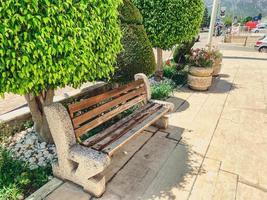 banc en bois dans la cour. un banc en bois se dresse près des arbres aux feuilles vertes. promenade dans la nature, repos dans le parc photo