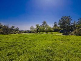 vue imprenable sur la campagne depuis les airs. village vert photo