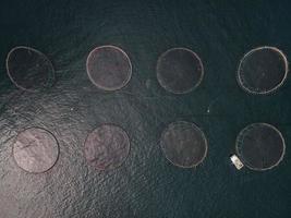 cages à saumon au large des îles féroé photo