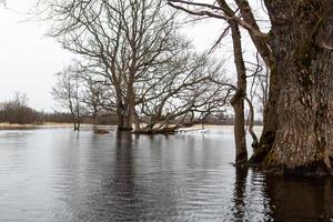 parc national de soomaa inondé photo