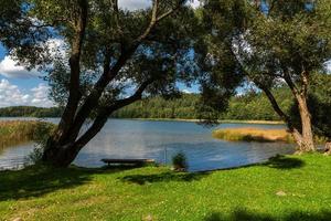 paysages d'été au bord du lac en lituanie photo