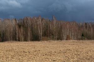 paysages du début du printemps photo