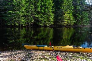 parc national de soomaa inondé photo