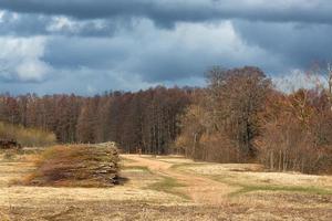 paysages du début du printemps photo