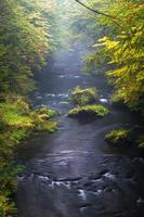 paysages d'automne à hrensko, rivière kamenice photo