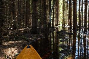 parc national de soomaa inondé photo