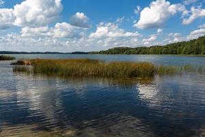 paysages d'été au bord du lac en lituanie photo