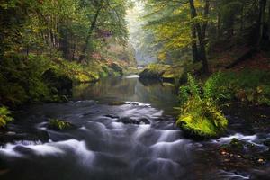 paysages d'automne à hrensko, rivière kamenice photo