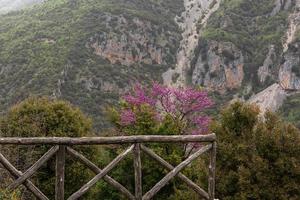 paysages printaniers des montagnes grecques photo