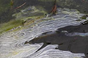 motifs de glace sur glace mince photo