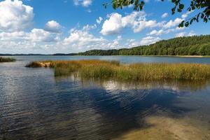 paysages d'été au bord du lac en lituanie photo