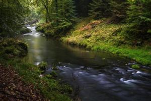 paysages d'automne à hrensko, rivière kamenice photo