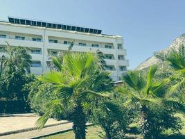 plantes vertes tropicales dans un pays chaud. palmiers aux longues feuilles vertes. arbres près du grand bâtiment blanc de l'hôtel. voyager dans un pays chaud photo