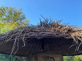 regardant le ciel bleu à travers un parasol en paille. Majorque. Espagne photo